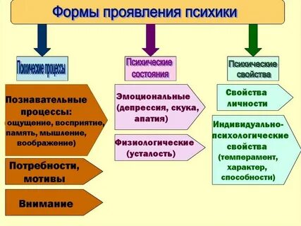 Деятельность это форма психической активности