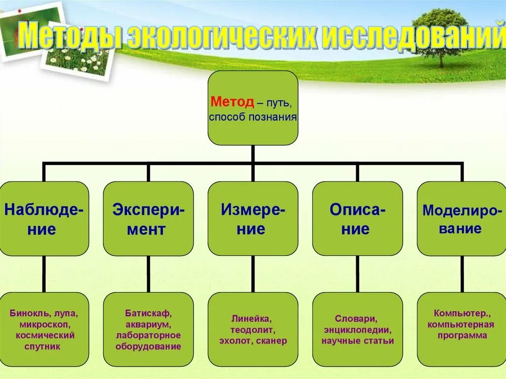 Методы экологических исследований кратко. Общая характеристика методов экологических исследований. Методы исследования в экологии. Методы используемые в экологических исследованиях.