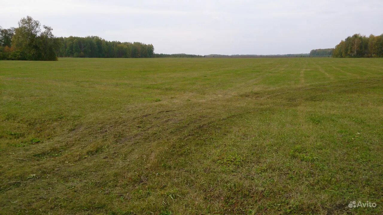 Свердловская область, сысертский г. Свердловская обл, р-н сысертский, с черданцево,. Поселок заповедник сысертский район. Садовый 2 кашино. Кп кадниково.