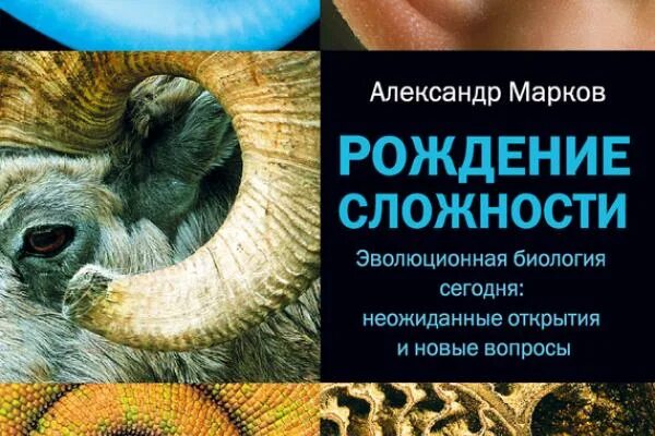 Рождение сложности. Картинки по биологии для оформления. Биология сегодня. Рождение сложности. Биология сегодня.