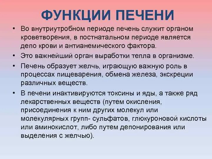 Депо крови в организме. Функции депо крови. Функция печени в кроветворении. Депонирование крови в печени.