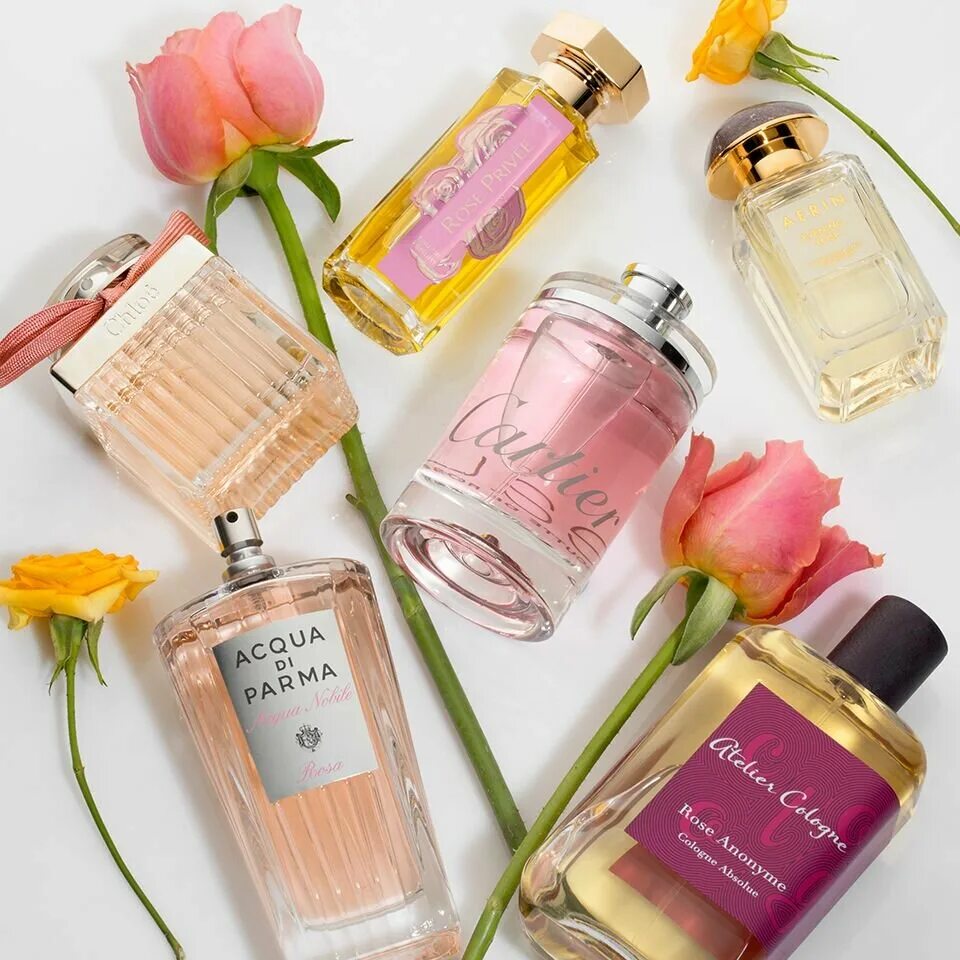 Парфюмер блеск для тела. Парфюм женский. Какие ароматы в тренде. Какие ароматы в тренде. Gucci bloom ambrosia di fiori парфюмерная вода 50 мл.