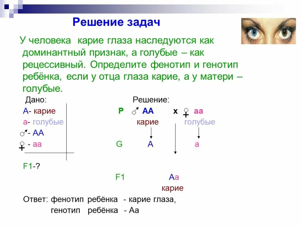 Задачи с доминантными и рецессивными признаками решение. Решение задач на генетику. Биология задачи генетические задачи 9 класс с решением. Задачи по генетике с 2 признаками. Типы задач по генетике схема.