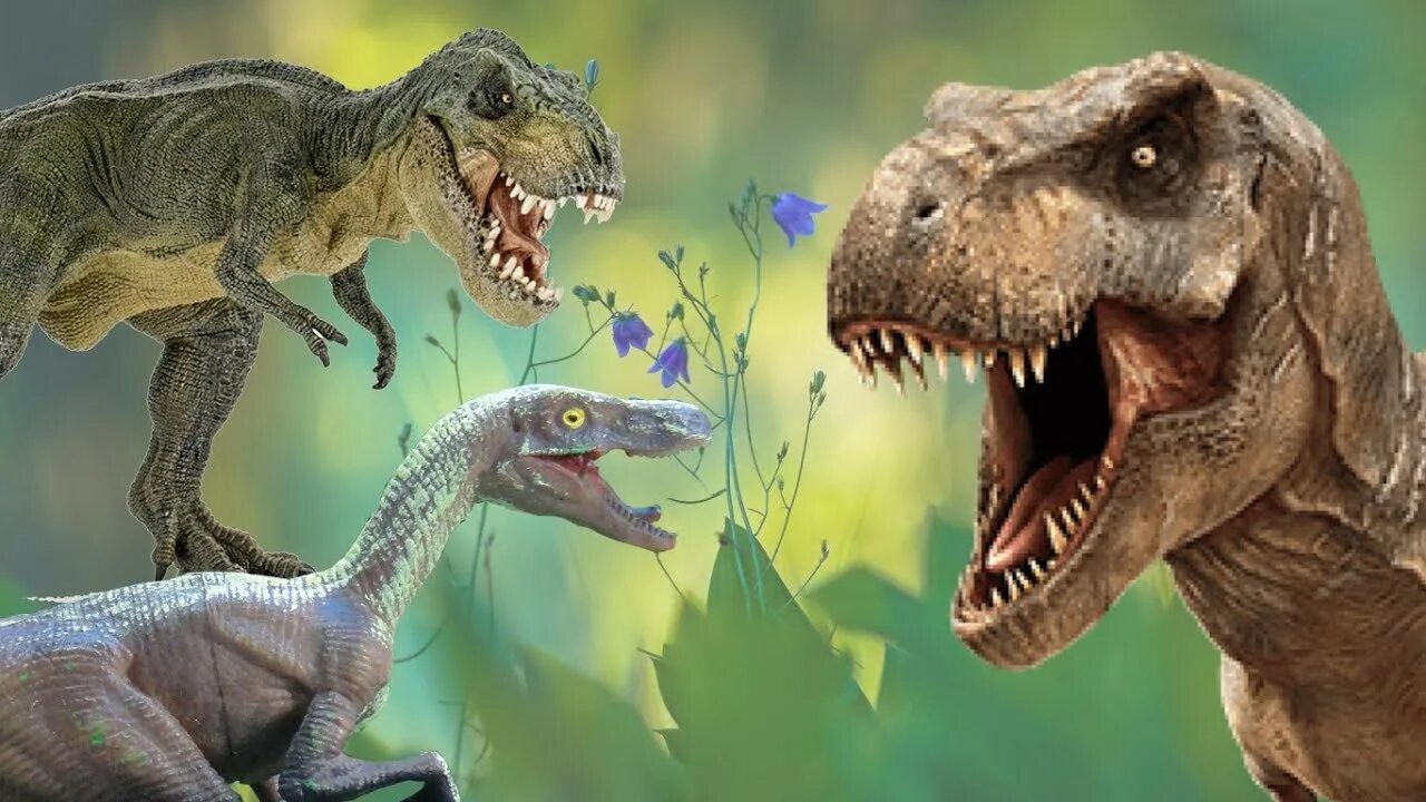 Динозавры для детей. Передача про динозавров для детей.