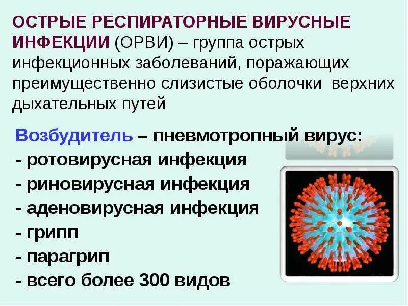 Респираторные вирусы гриппа. Возбудители вирусных респираторных инфекций. Острые респираторные вирусные инфекции. Острое респираторное вирусное заболевание. Вирусы ОРВИ классификация.