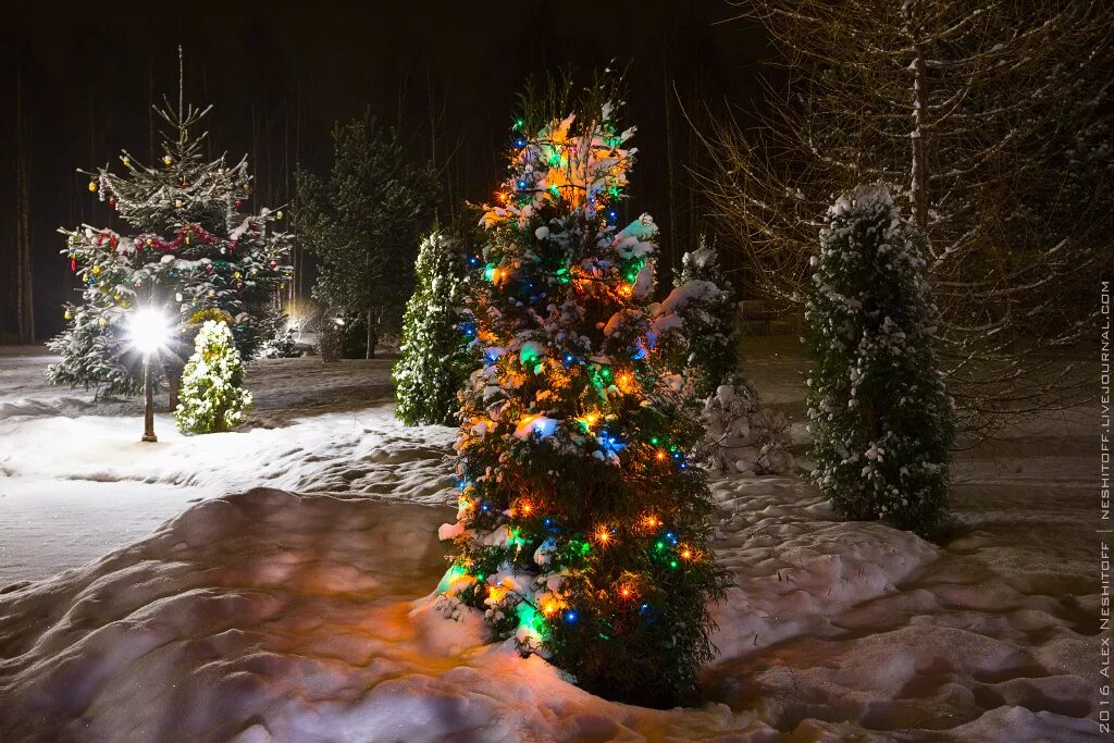 мельница украшенная к рождеству в сша. сочельник вечер накануне рождества. красивые природные места в дубне зимой. фотографии ночь накануне рождества. сочельник ночь накануне рождества.