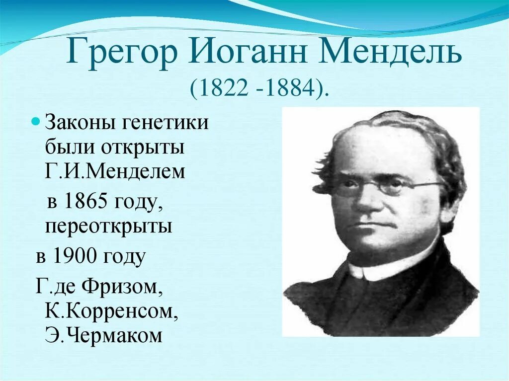 Создатель генетики. Грегор Мендель. Грегор Иоганн Мендель генетика. Грегор Иоганн Мендель (1822-1884 гг.). Грегор Мендель 1865.