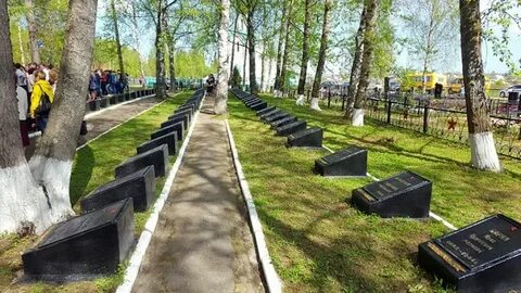 Кинешма сокольники