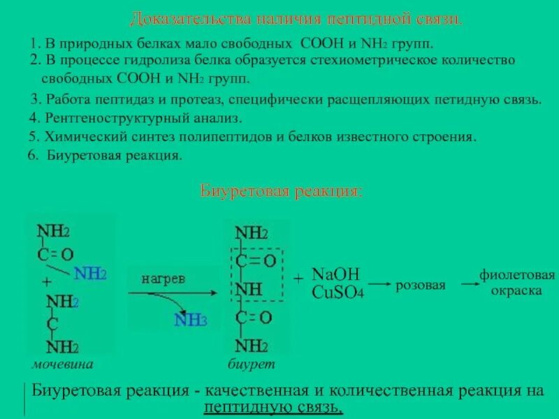 Как можно доказать наличие. Доказательство наличия пептидной связи. Как доказывается наличие пептидных связей в белках. Как доказать наличие пептидных связей в белках. Докажите в белке наличие пептидной связи.