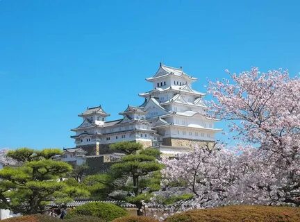 Top japan