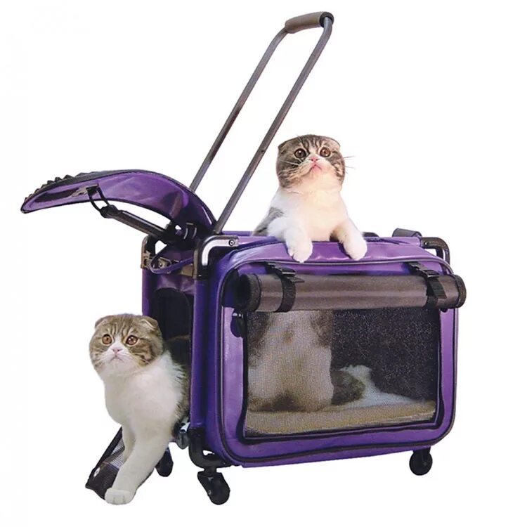 Весы для кошек купить. Переноска Cat Carrier. Сумка переноска на колесах Pet Carrier. Переноска для собак tutto. Переноска для собак Pet choice.