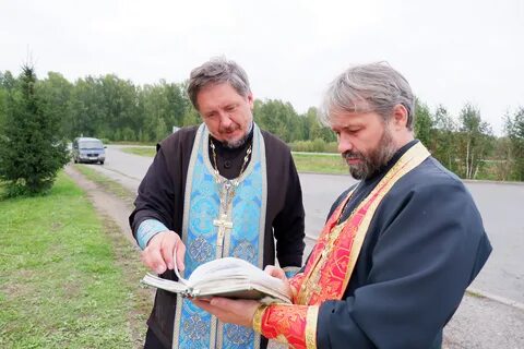Свят 31
