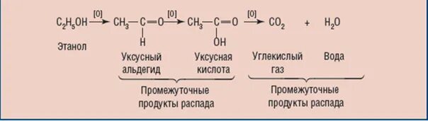 Реакция распада в организме. Окисление этанола в организме. Окисление этилового спирта в организме.