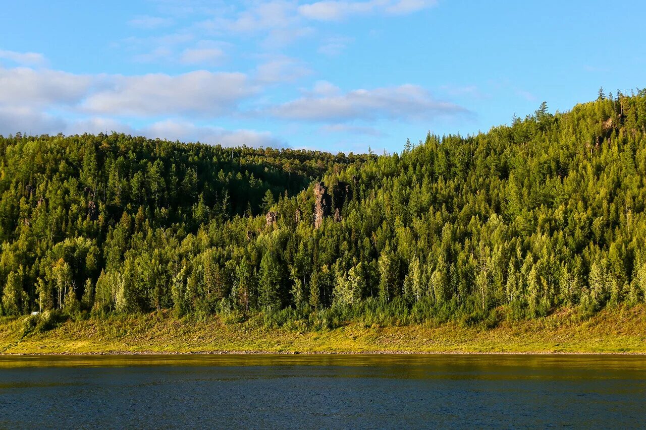 Реки Красноярск Подкаменная Тунгуска. Подкаменная Тунгуска Тайга. Река Тунгуска Тайга. Тунгуска Красноярск.