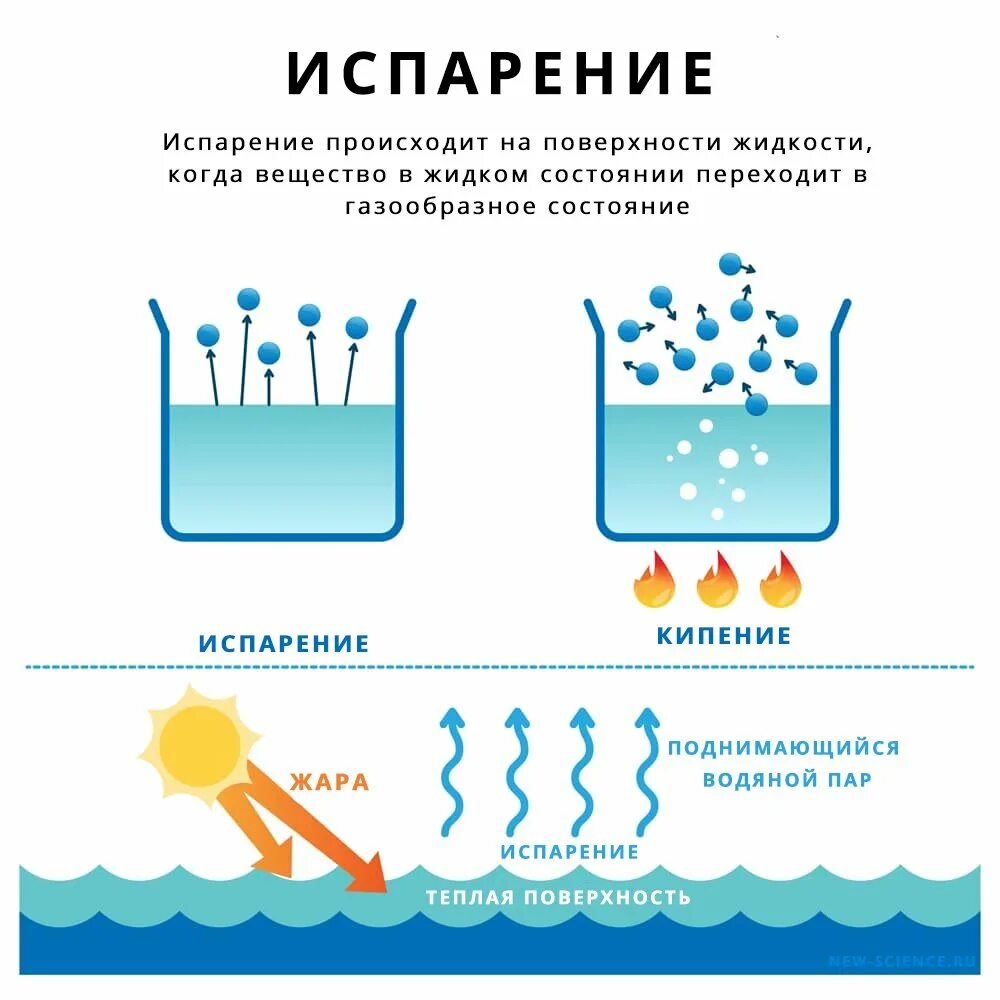 Жидкостей и осадков. Испарение воды. Причины испарения воды. Парообразование испорения. Вода испаряется.