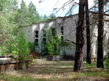 Пионерский лагерь спутник