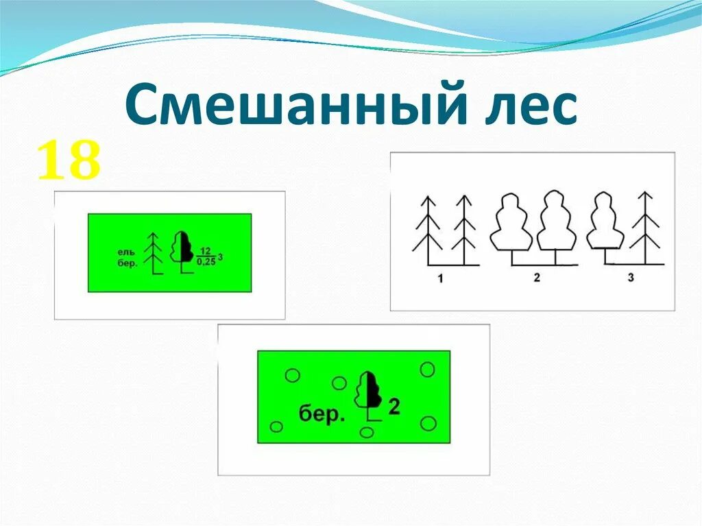 Условные знаки деревьев. Топографический знак смешанный лес. Смешанный лес условный знак. Смешанный лес обозначение. Смешанный лес на карте обозначение.