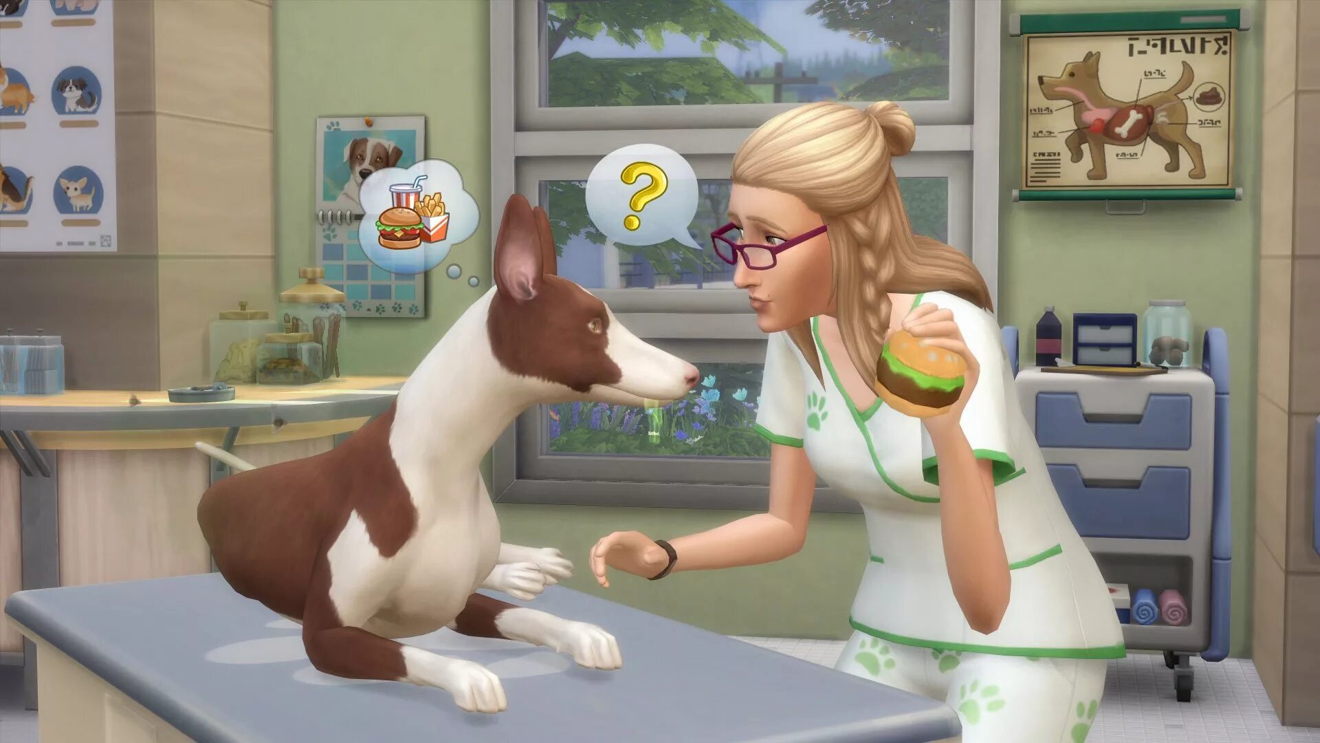 Как добавить животных в симс 4. The sims 4 собаки. the sims 4. кошки и собаки. симс 3 ветеринарная клиника. симс 4 питомцы клиника.