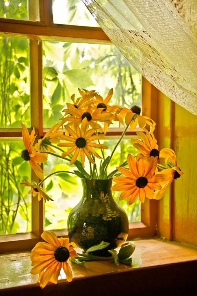 Доброе утро цветы солнце. Цветы на окне. Цветы в вазе на окне. Осенние цветы на окне. Солнечный цветок.