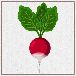Редиска ребенку