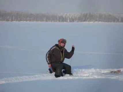 Сайт центр лед архангельск