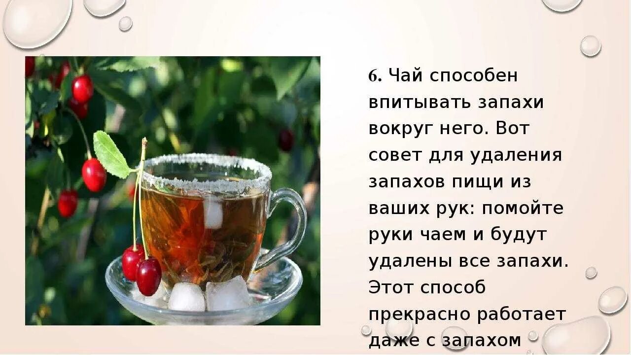 Песни пей чай зеленый. Интересные факты о чаепитии. Факты о чае. Самые интересные факты о чае. Интересное о чае.