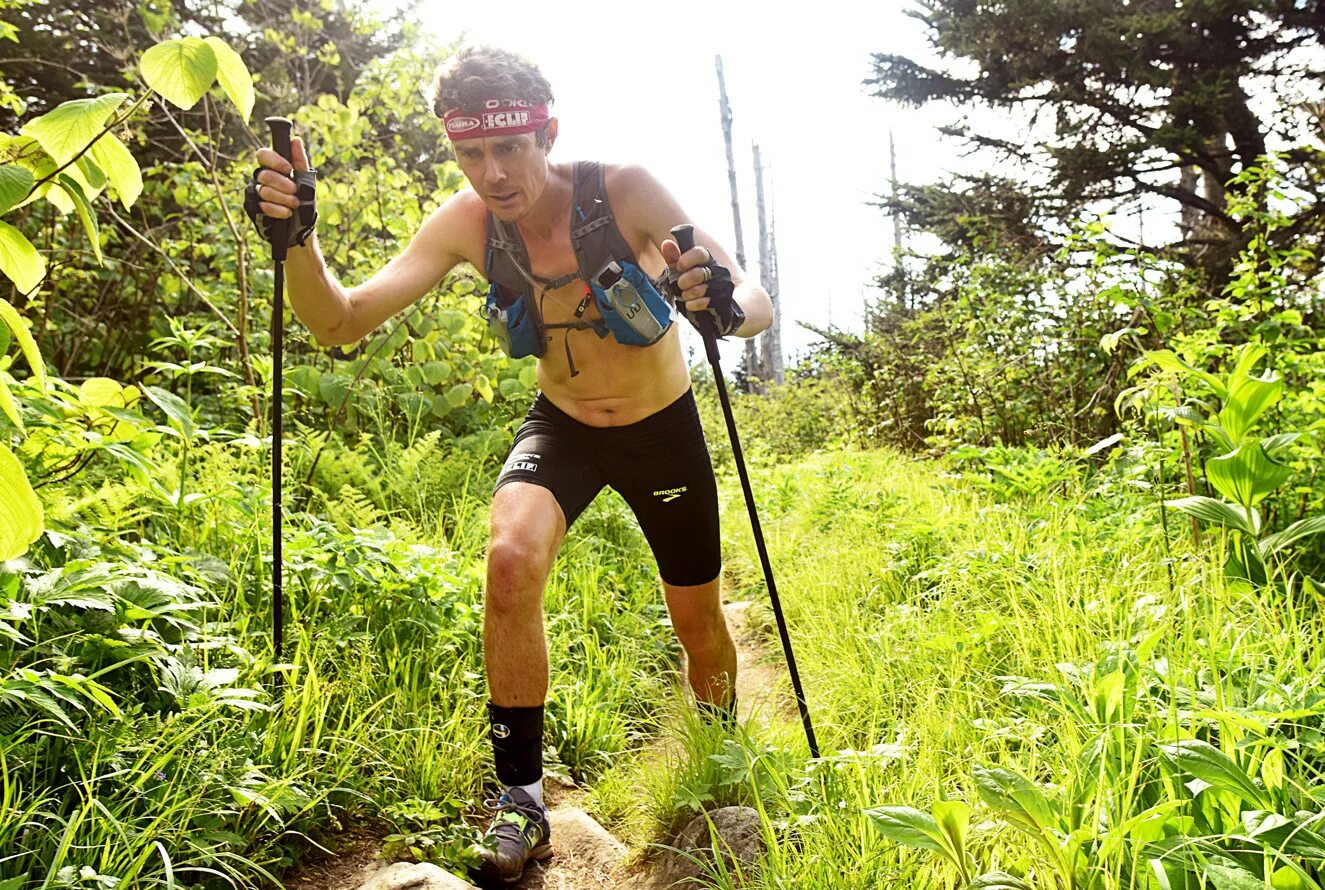 Trail record. Ультрамарафон обои на рабочий стол. Веган в горах. Ебеня трейл. Аппалачская тропа.