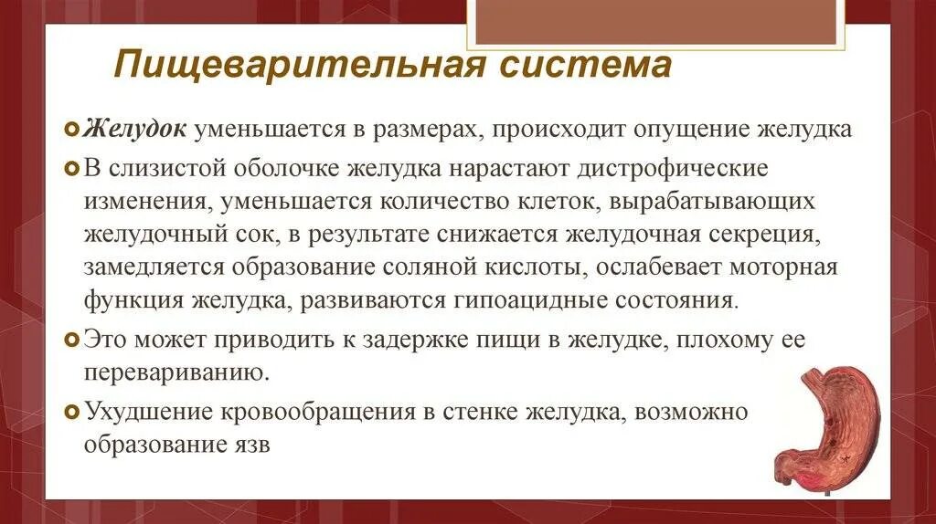 Симптомы опущения желудка у женщин. Гастроптоз 3 степени рентген. Как понять что опущен желудок. Гастроптоз степени рентген. Опущение внутренних органов брюшной полости.
