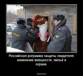 Свидетели под защитой