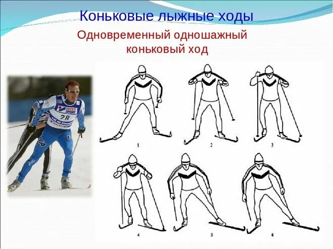 Основные коньковые ходы: найдено 89 изображений