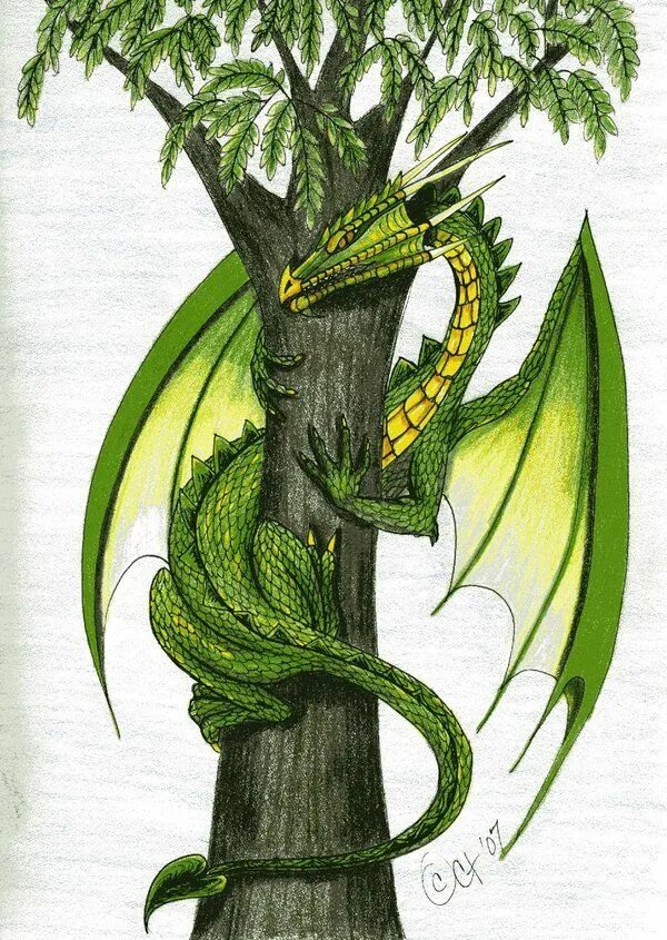 Рисунок зеленого деревянного дракона. Дерево дракона. Дракон обвивает дерево. Дракон вокруг дерева. Зеленый древесный дракон.