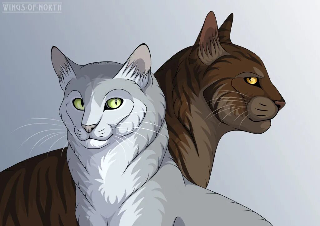 Голубка коты. Коты воители когтегрив. коты воители когтезвёзд. коты воители голубка и когтегрив. dovewing коты воители.