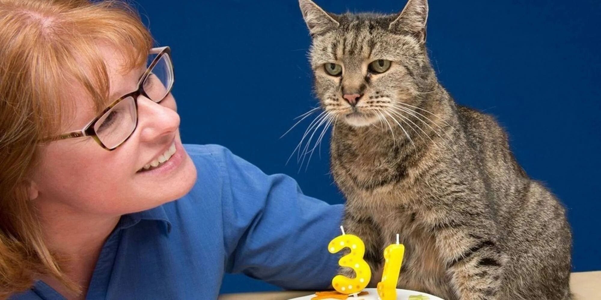Кот проживает 9 жизней. Кошка Люси долгожитель. Кот Натмег. Кот Крим Пафф 38 лет. Старая кошка.
