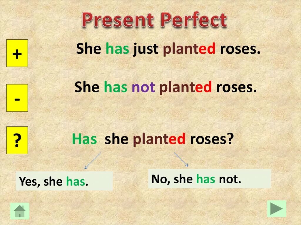 Презент Перфект. Present perfect past perfect. The perfect present. Have в презент Перфект.