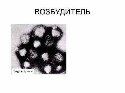 Грипп возбудитель болезни