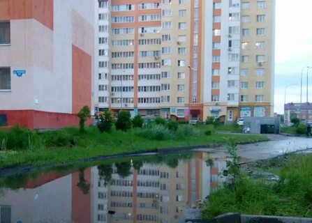 Пенза шуист авито