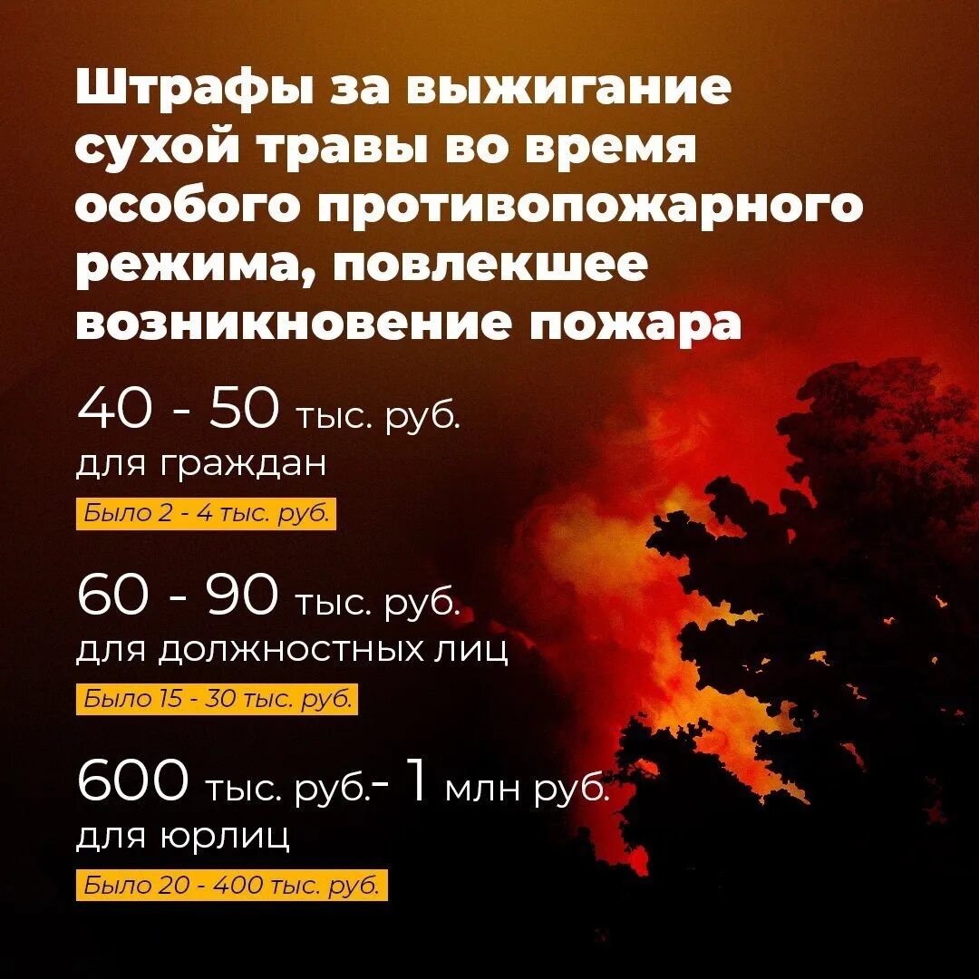 Пожар в угловском районе алтайского края. Особый противопожарный режим. Противопожарный режим алтайский край. Особо противопожарный режим. Особый противопожарный режим.