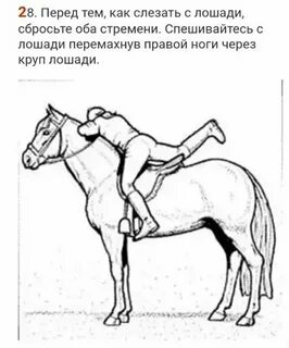 Как слезть с лошади