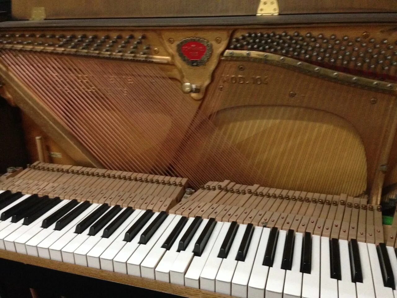 На клавишах тургенева. Рояль Schimmel Pegasus. Schimmel Pegasus Grand Piano. Клавиши рояля одна запавшая. Клавиша запала пианино.