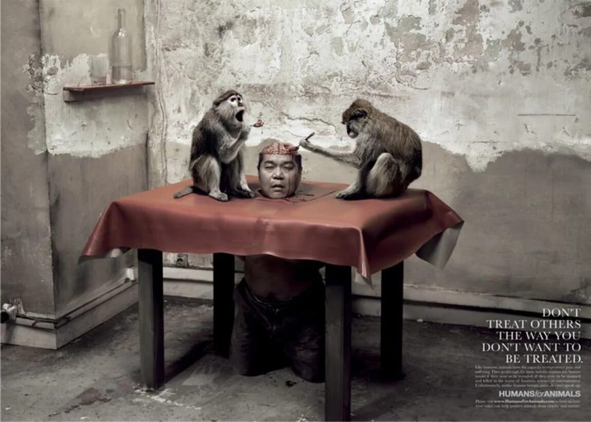 Мозг живой обезьяны. Реклама с обезьяной. Едят мозги живой обезьяны.