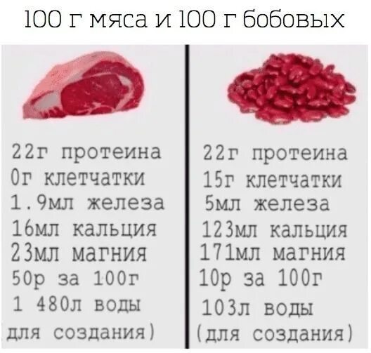 В 100 г мяса содержится. Сравнение мяса. белок в мясе и бобовых сравнение. кбжу мясо и бобовых сравнение. сравнение мяса и бобовых.