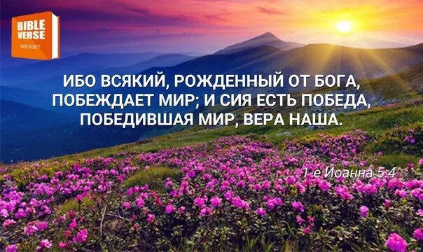 Рожденный от бога побеждает мир. Кто унижен будет тот возвысится библия. Делающий злое ненавидит свет. Ибо всякий. Просите и дано будет вам.