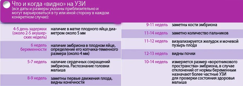 Акушерские недели признаки. УЗИ неделя задержки при беременности. Беременность 5 недель болит грудь. Ранние признаки беременности на УЗИ. Самочувствие на ранних сроках беременности 5 недель.