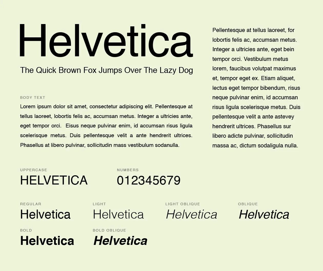 Verdana sans serif