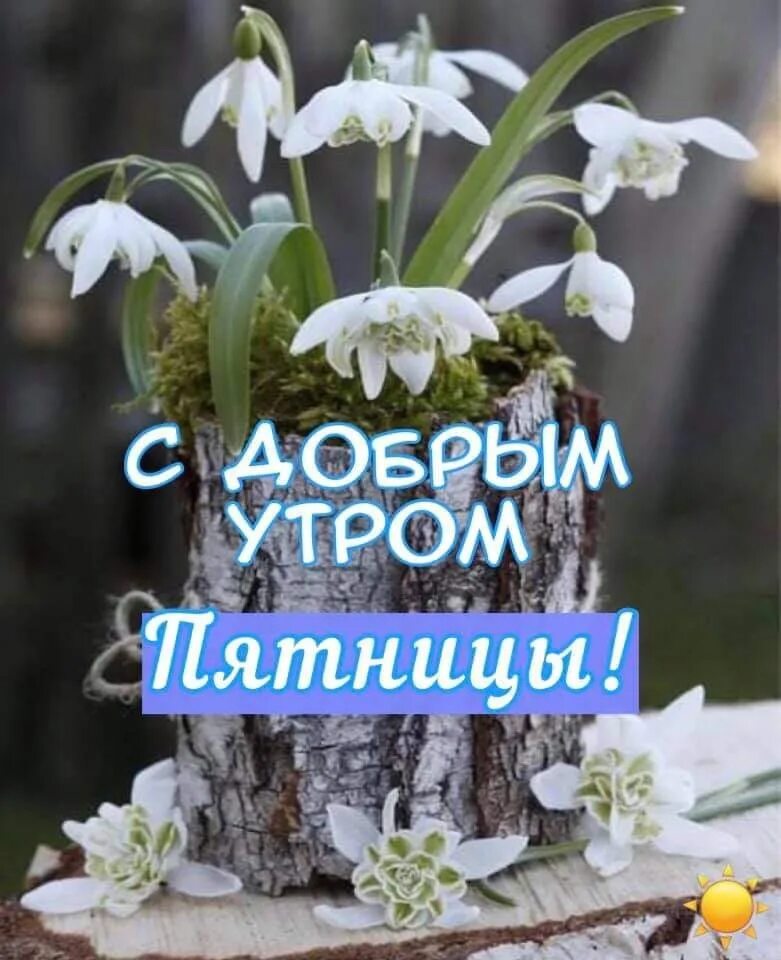 Доброе февральское утро пятницы картинки. С добрым январским утром. Открытки с добрым праздничным утром. С добрым зимним утром пятницы. Пожелания с добрым утром зимние.