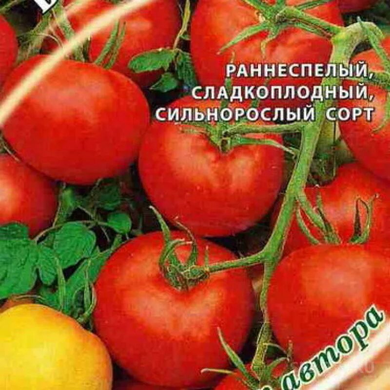 Сорт томата бони мм. Семена томат Бони мм. Томат Вераче. Томат Бони м. Бон Бон томат.