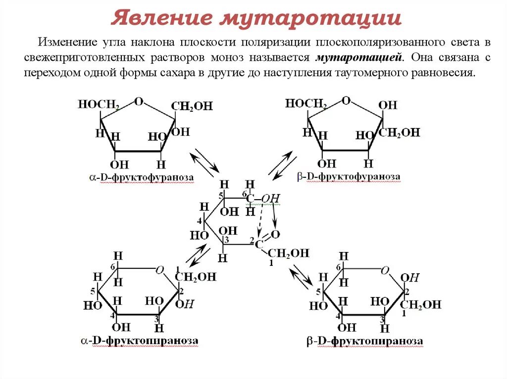 Мутаротация фруктозы схема. Явление мутаротации Глюкозы. Схема таутомерных превращений лактозы. Реакция мутаротации Глюкозы.