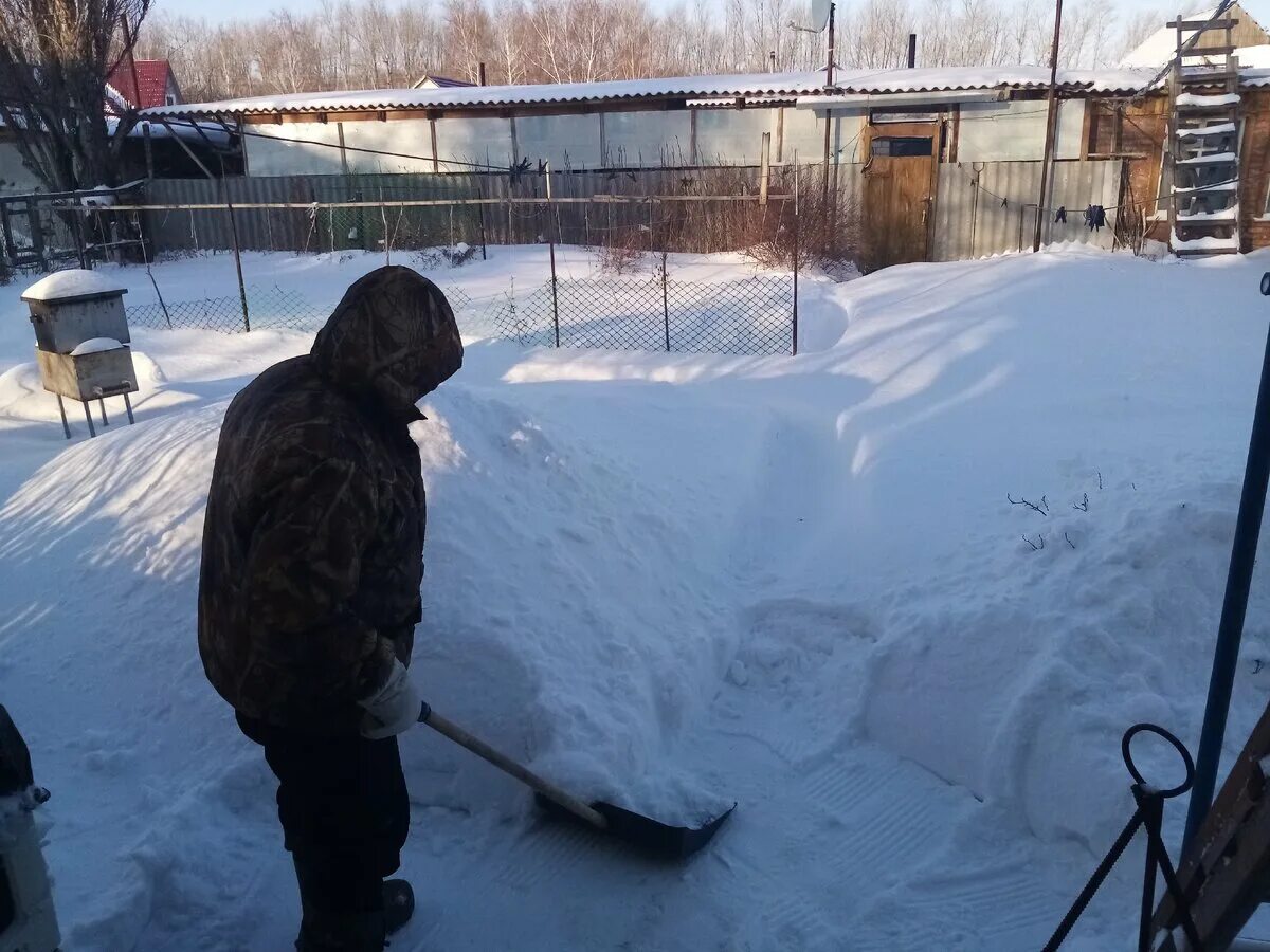 В Горно Алтайске снег выпал. Столько снега выпало. Снег в Исилькуле. Домодедово завалило снегом.