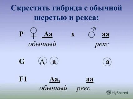 Укажите аа
