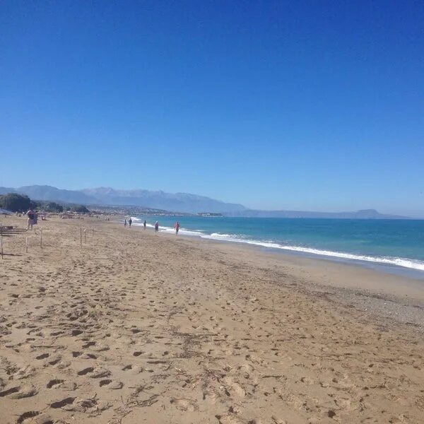 Gold beach ливадия. Апартаменты голд бич ливадия. Голд бич ливадия база. Gold beach ливадия. Голд бич ливадия.